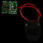 CS250 Permanent Chip