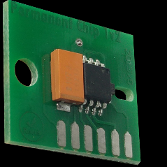 SS22 Permanent Chip