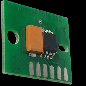 SS22 Permanent Chip